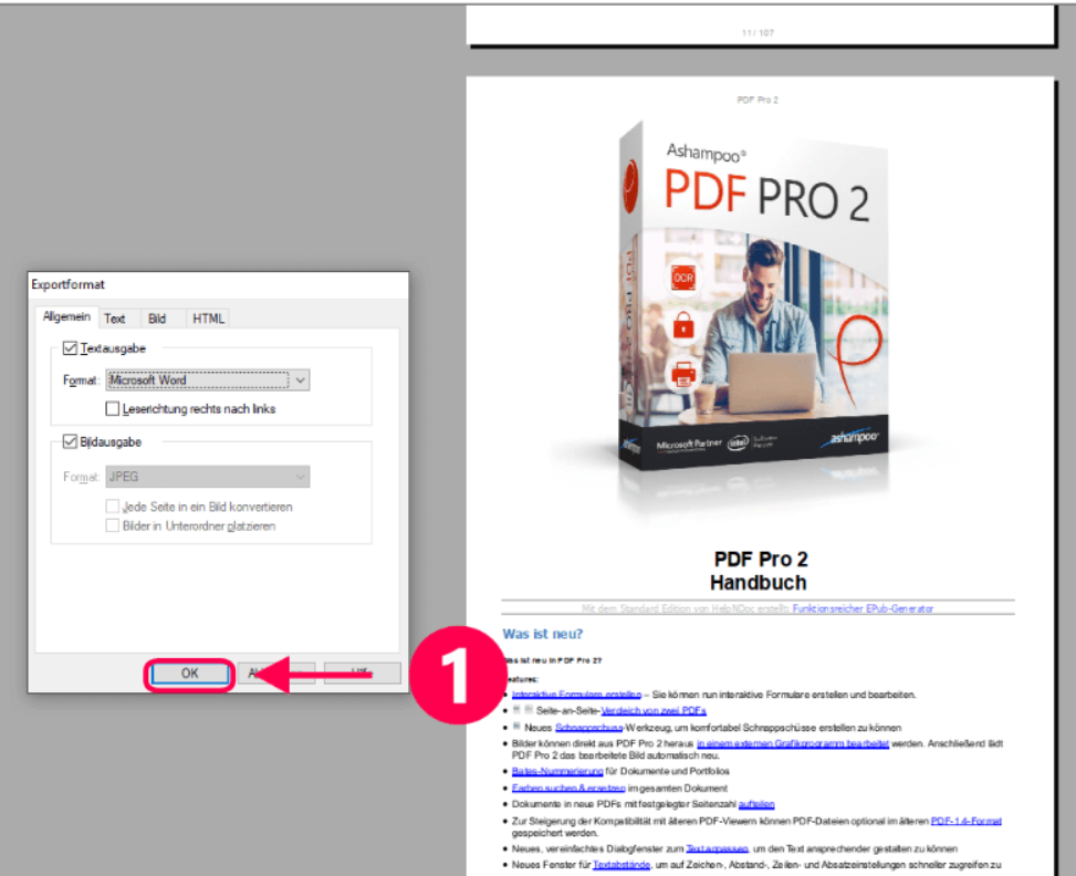 Ashampoo_PDF_Pro_2_exportieren_bs4.png