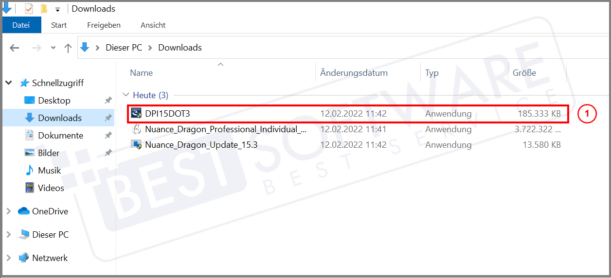 Nuance_Dragon_15_Installation_12.png